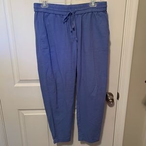 J. Crew Blue Drawstring Pants - Size 8